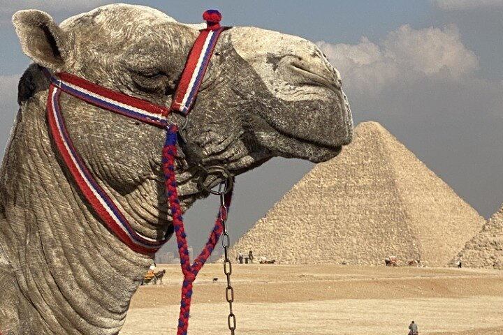 Private Full-Day Tour to the Giza Pyramids ,sakkara & memphis - Photo 1 of 25