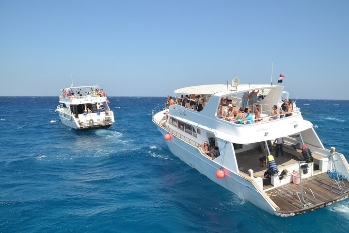 Private half-day snorkeling in Hurghada Red Sea - Photo 1 of 12