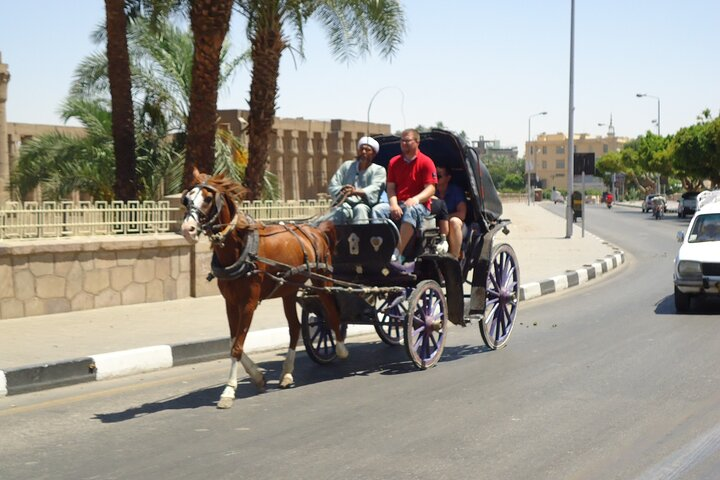 Private Horse Carriage Ride in Cairo - Photo 1 of 6