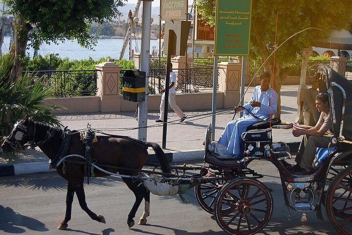 Private Horse Carriage Tour in Aswan City - Photo 1 of 4