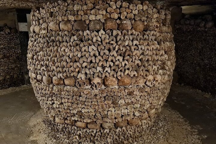 Private Tour Discovering Alexandria Top Attractions - Photo 1 of 5