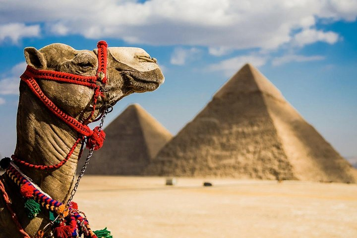 Private Tour: Giza Pyramids, Sphinx, Grand Egyptian Museum&Bazaar - Photo 1 of 12