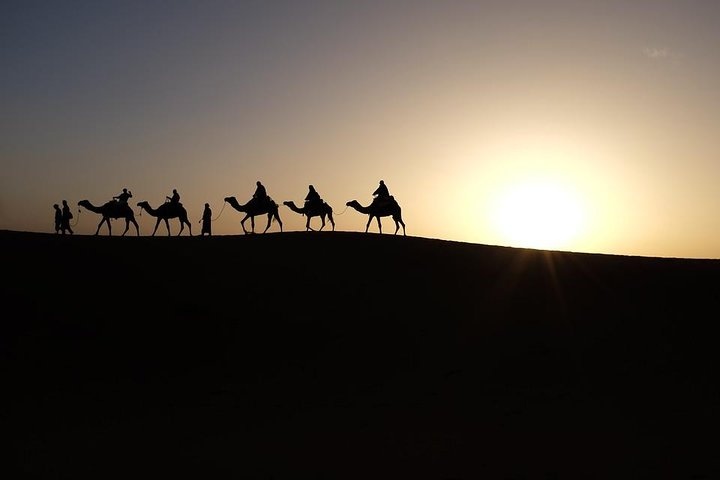 Sunrise camel ride