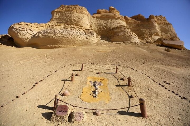 Private Tour to Whales Valley & Wadi El Rayan Waterfalls in El Fayoum from Cairo - Photo 1 of 18