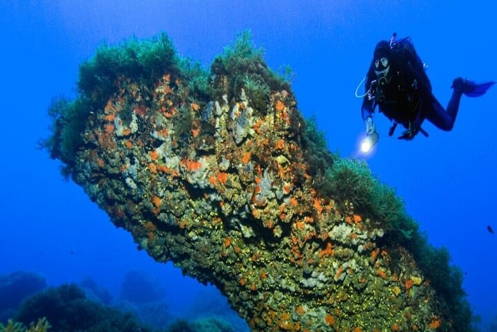 "Professional diving course" for 4 days of amazing sea life - Photo 1 of 2
