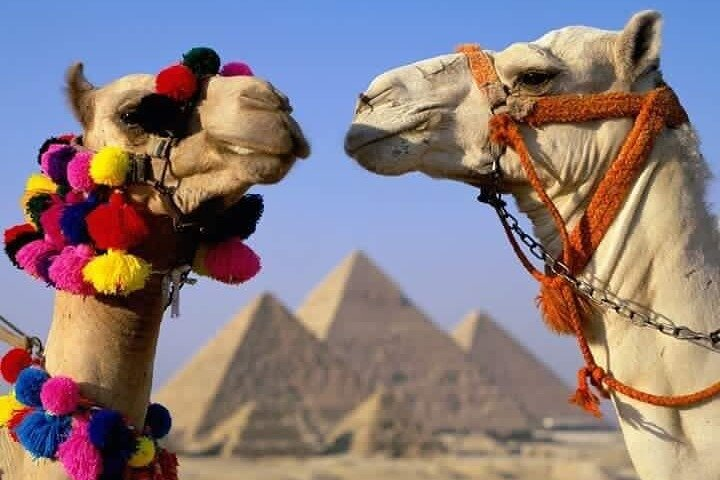 Ramses Tour 3-Days : Giza Pyramids ,Sakkara , Memphis ,City tour & Alexandria - Photo 1 of 25