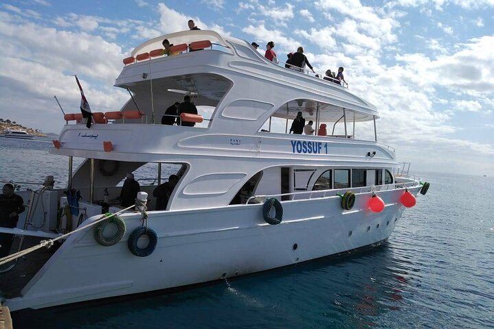 Day Tour from Sharm el Sheikh to Luxor by Plane  - Photo 1 of 4