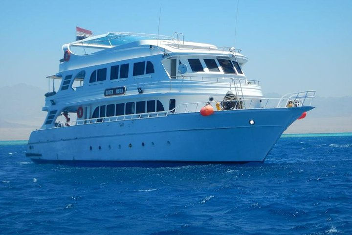 Ras Mohamed By Boat  - Photo 1 of 3