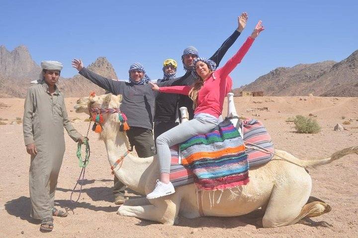 Riding Camels