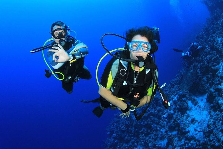 Scuba Diving for beginners - Hurghada - Photo 1 of 22