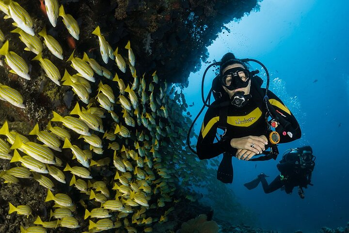 Scuba Diving or Snorkeling with Lunch and Beverages from Hurghada - Photo 1 of 10