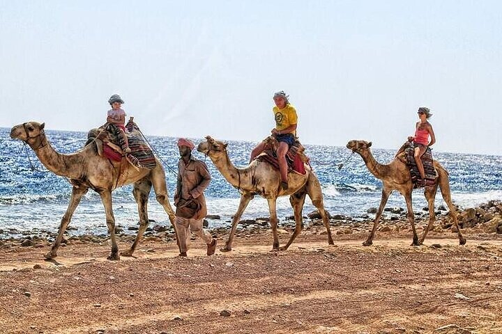 Sightseeing Tour To Dahab From Sharm El Sheikh  - Photo 1 of 8