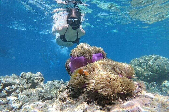Dahab Full-Day tour with 3 Pools from Sharm El-Sheikh - Photo 1 of 6