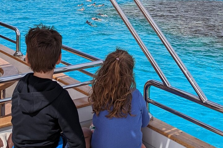 Swim with Dolphins : Snorkeling Adventure at Satayeh Reef - Photo 1 of 9