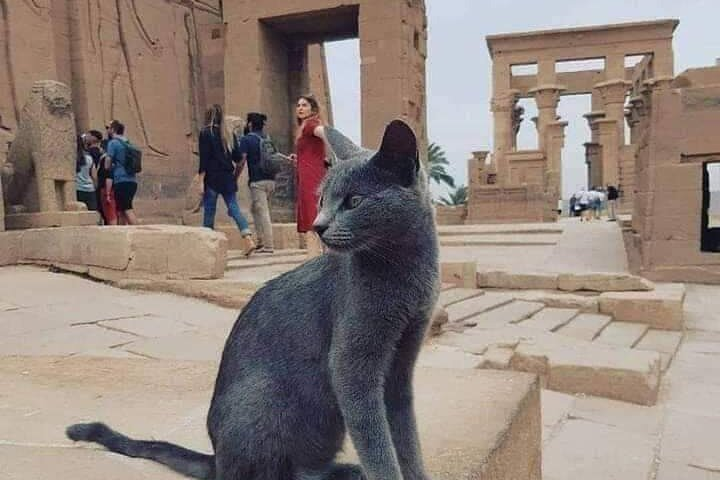 soul mate{4days luxor,aswan} - Photo 1 of 8