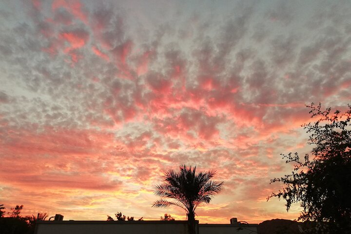 South Sinai Desert Tours With a Camel  - Photo 1 of 25