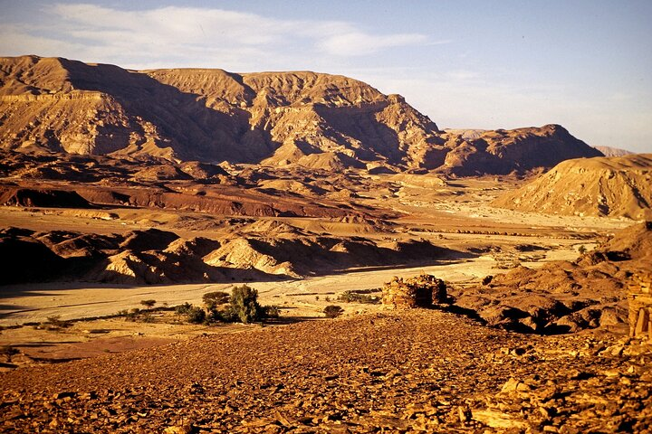 Sinai Desert