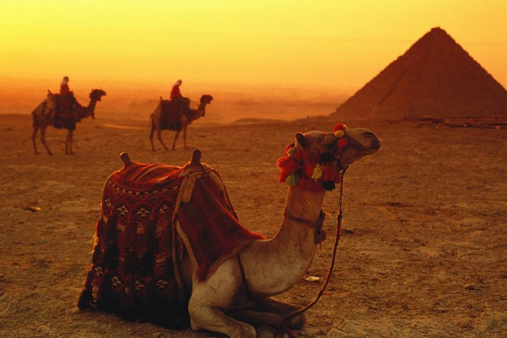 Sunrise or Sunset Camel Ride around