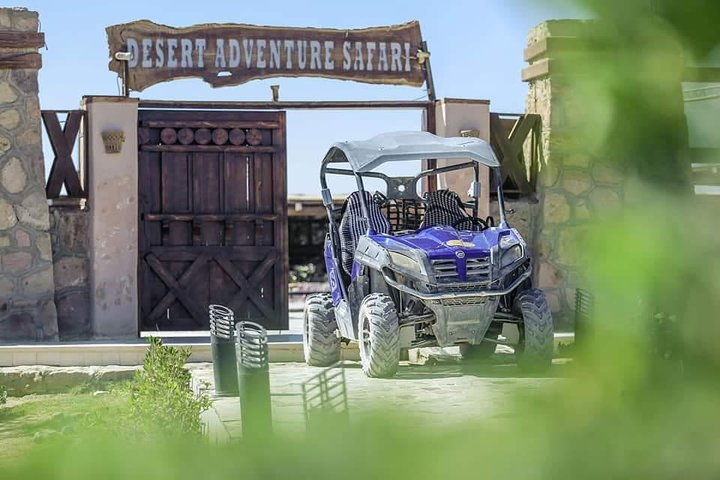 Super safari trip  - Photo 1 of 15