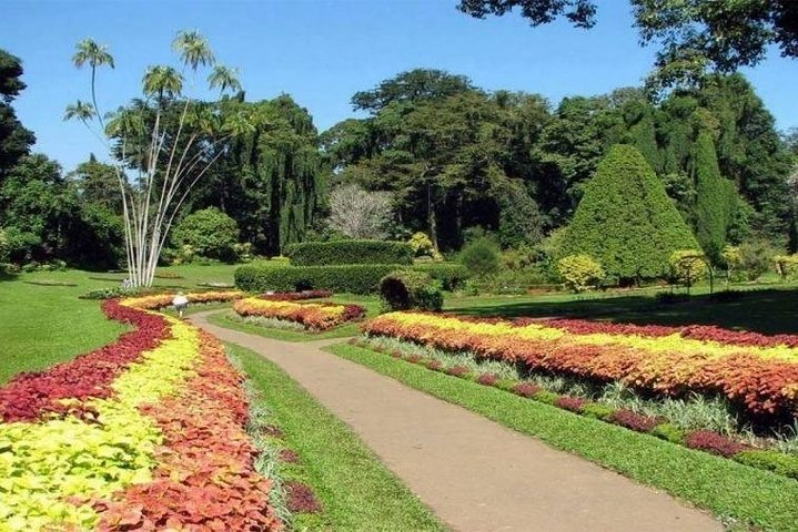 ( The Island of the plants - The Nubian Village ) - Photo 1 of 2