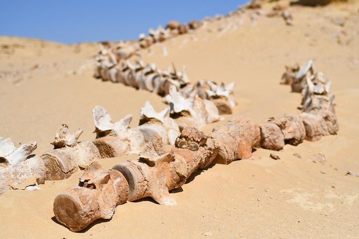 Wadi El-Hitan