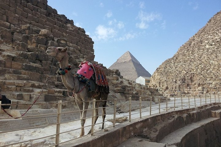Turning into Pharaoh King while riding a Camel - Photo 1 of 3