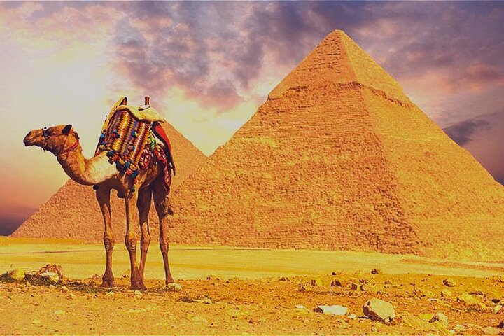 Camels and Pyramids
