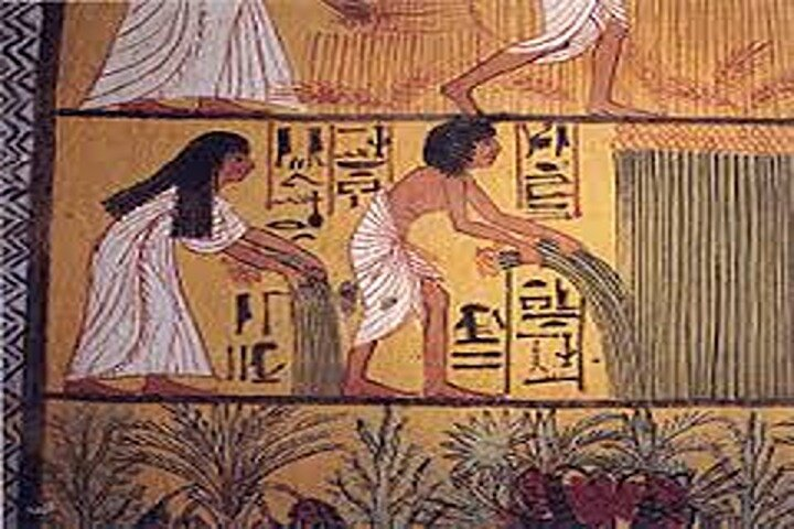 day tour in Luxor west bank, Habu &Deir el Medina, Queens valley  - Photo 1 of 10