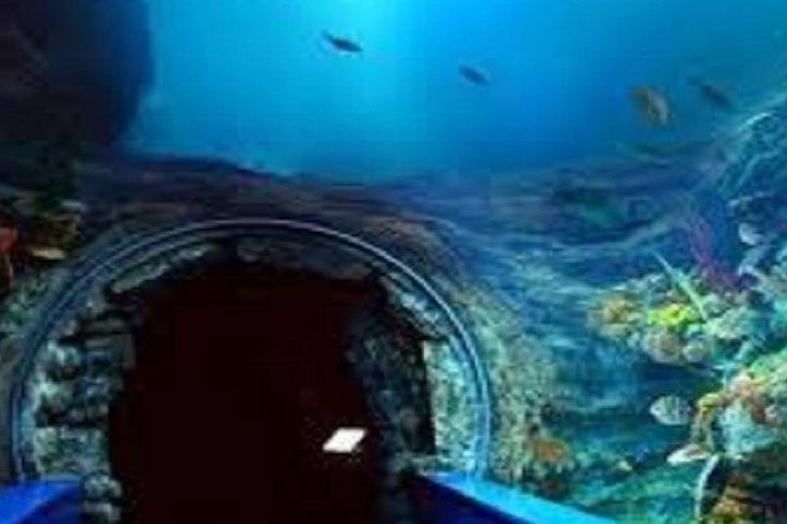 Visit to the Alexandria Museums - Photo 1 of 2