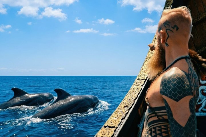 2-H Viking Cruise: Whales and Dolphin Watching + SWIM STOP - Photo 1 of 17