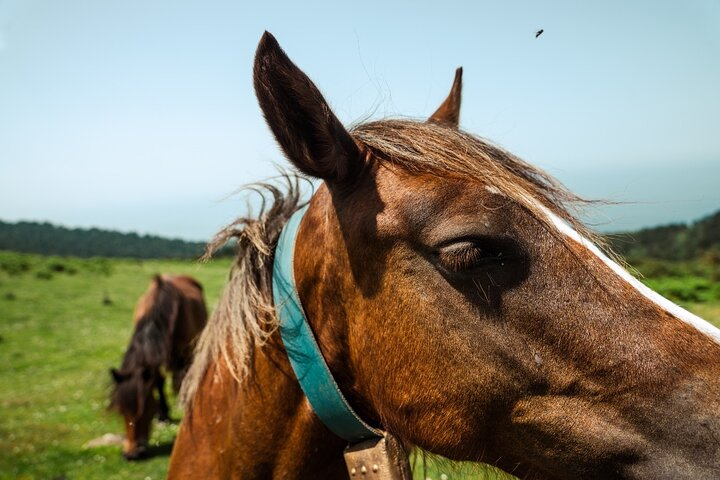 AIZKORRI TREKKING - Private Outdoor Adventure - Photo 1 of 6