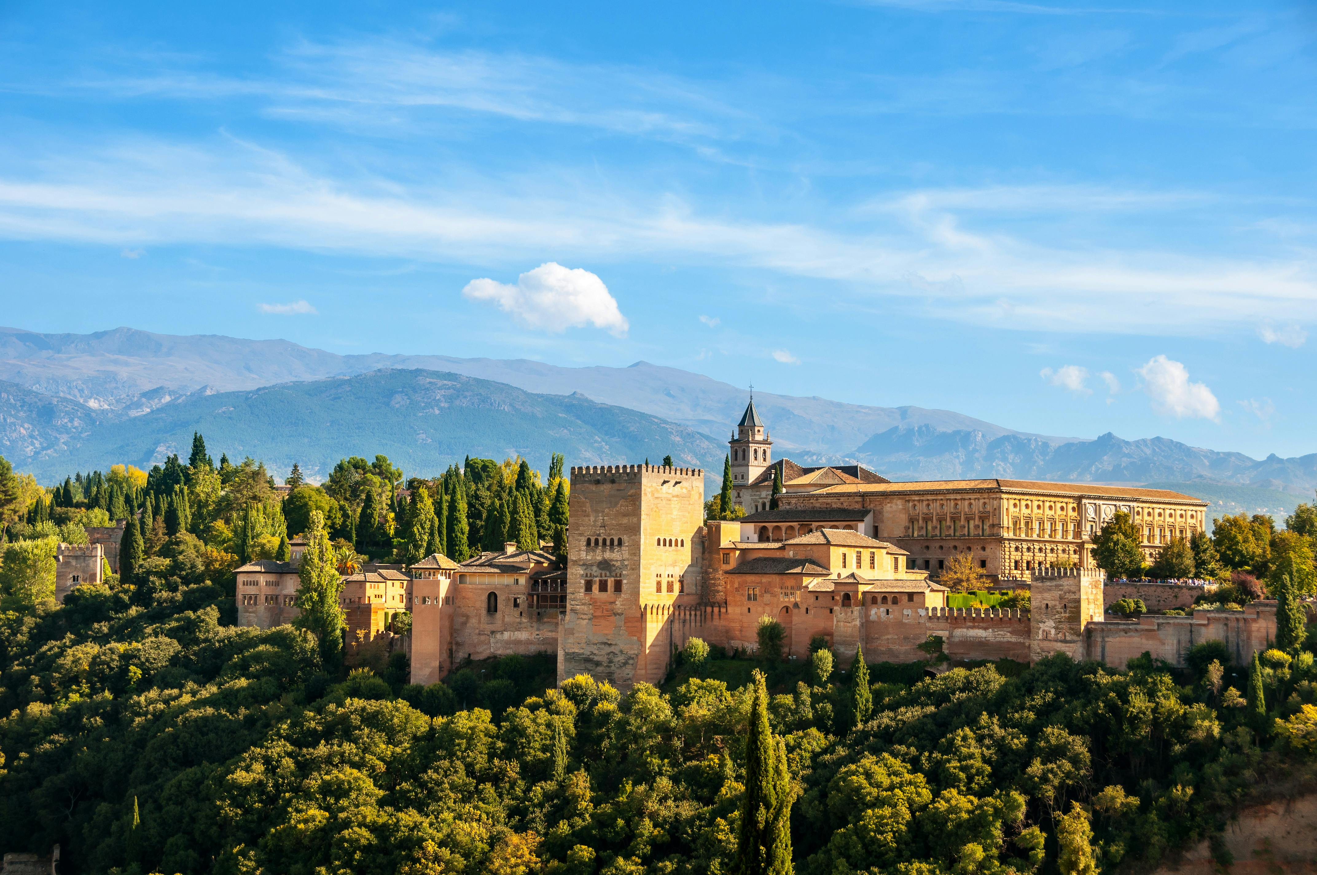 Alhambra & Nasrid Palaces: Skip The Line Ticket + Guided Tour - Photo 1 of 18