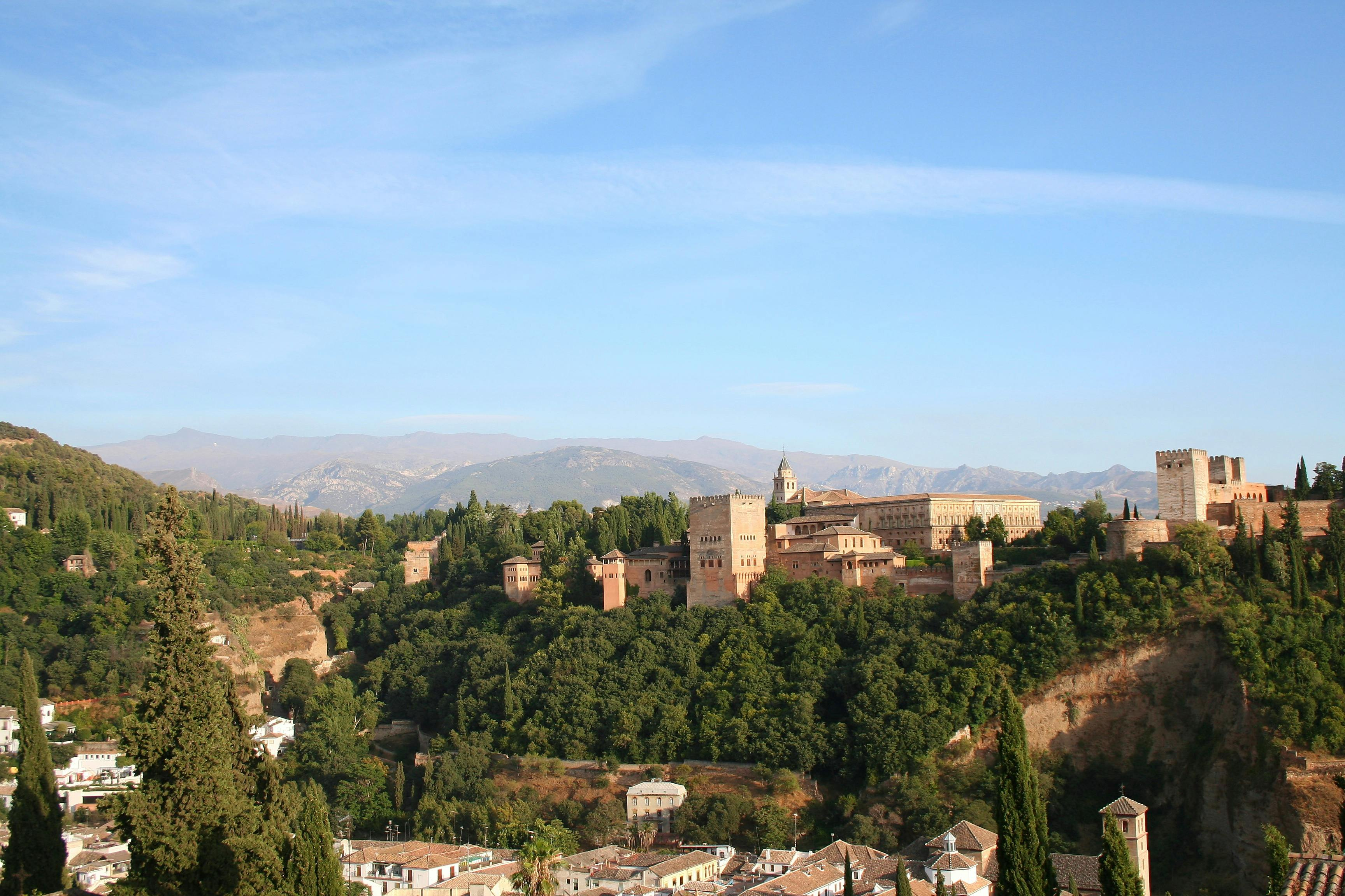 Alhambra & Nasrid Palaces: Skip The Line Ticket + Guided Tour - Photo 1 of 3