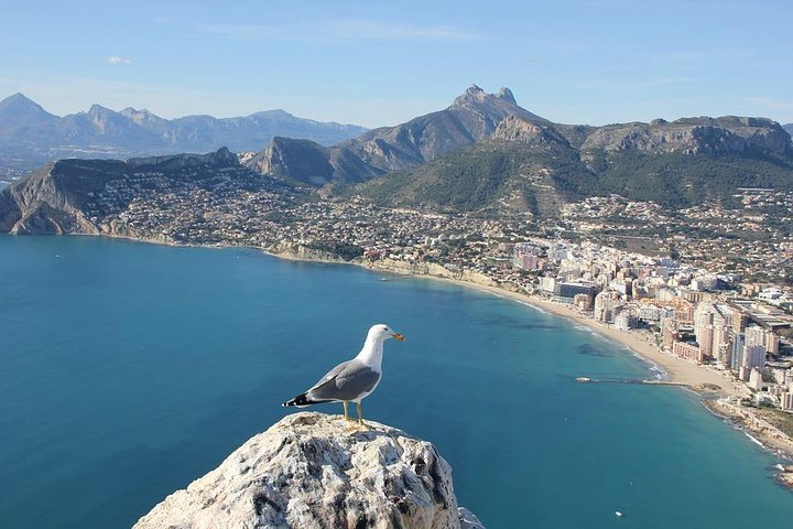 Hang out with locals in Alicante
