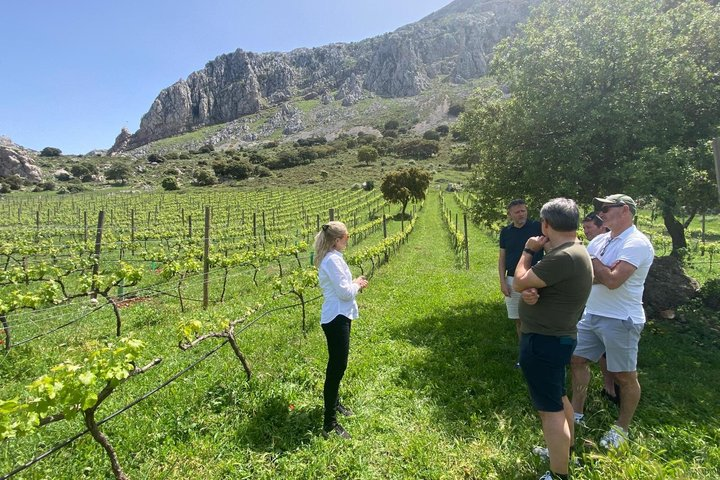 Antequera Classic Winery Tour - Photo 1 of 10