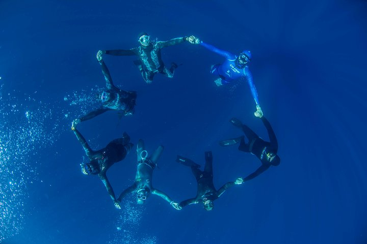 Apnea Discovery - Photo 1 of 6