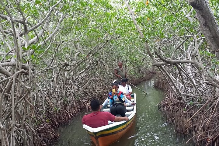 Artisanal Canoe Tour in the Mangrove with Afro-Caribbean Dance - Photo 1 of 12