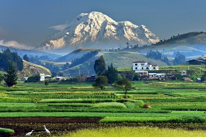 Avenue of the Volcanos 