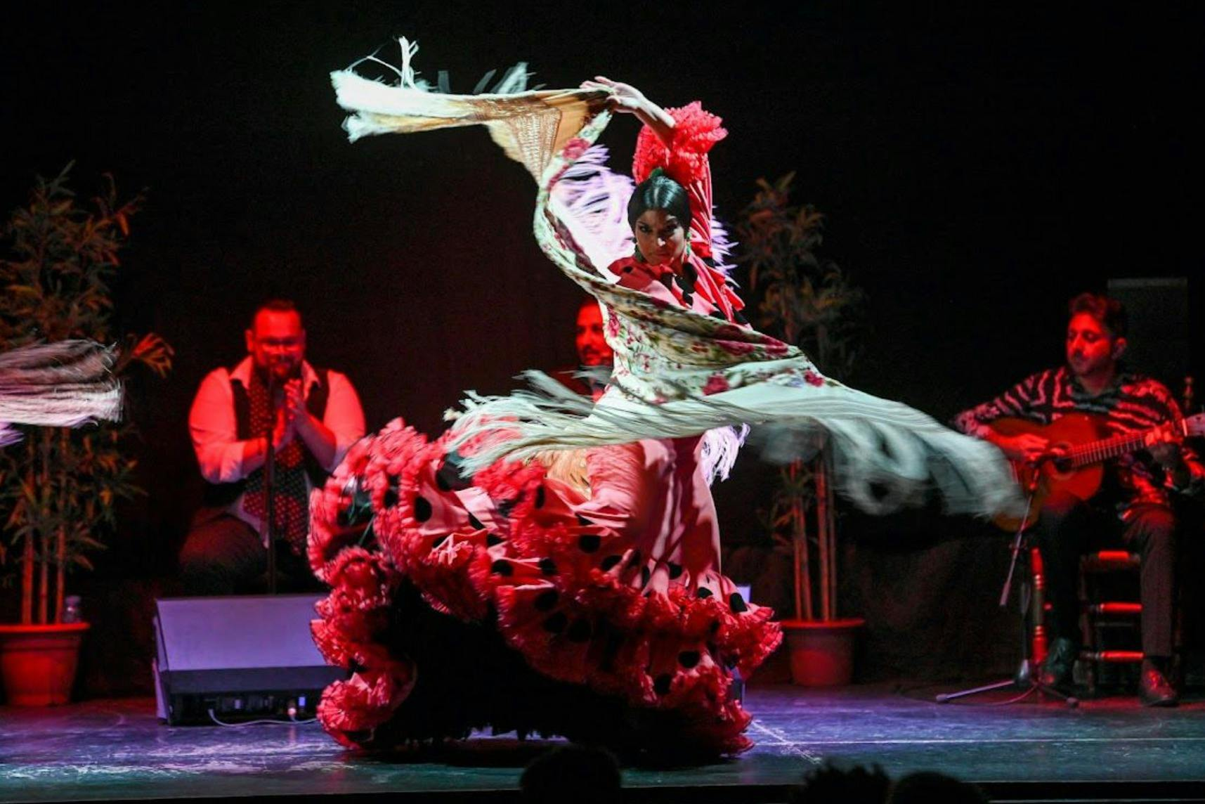Barcelona City Hall Theater: Flamenco Show - Photo 1 of 8