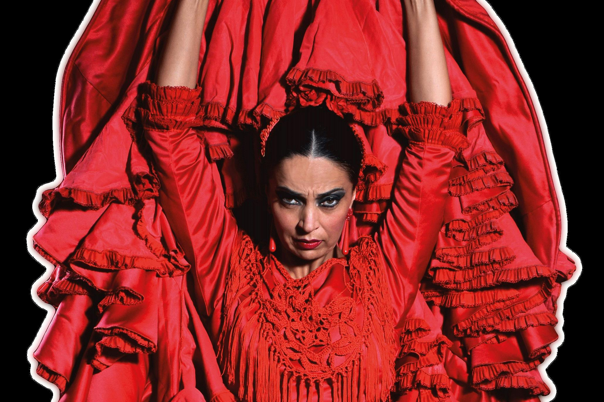 Barcelona: Flamenco Show at Teatro Flamenco - Photo 1 of 8