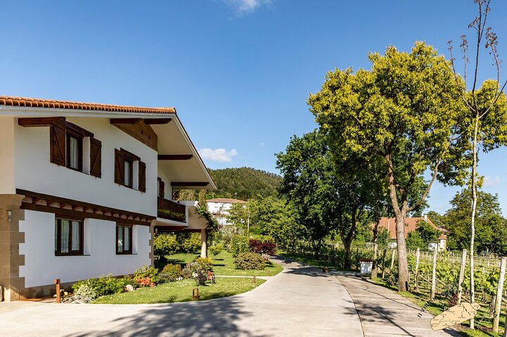 Private Basque Vineyard Visit: Txakoli Wine Tasting from Bilbao - Photo 1 of 8