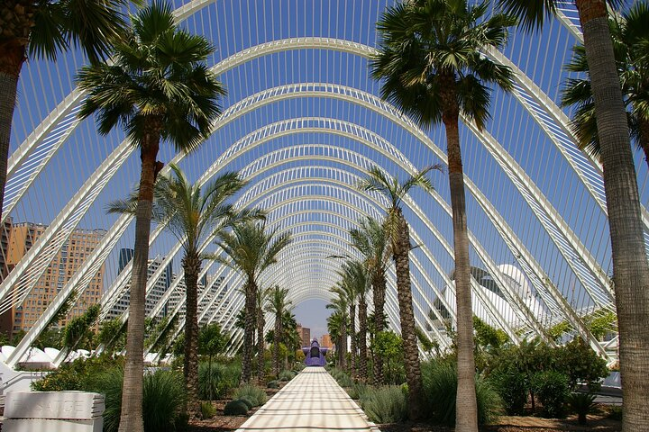 Discover Valencia’s Romantic Side On Foot - Private Tour - Photo 1 of 6