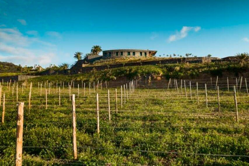 Bodegas El Sitio: Guided Winery Tour + Tastings - Photo 1 of 4