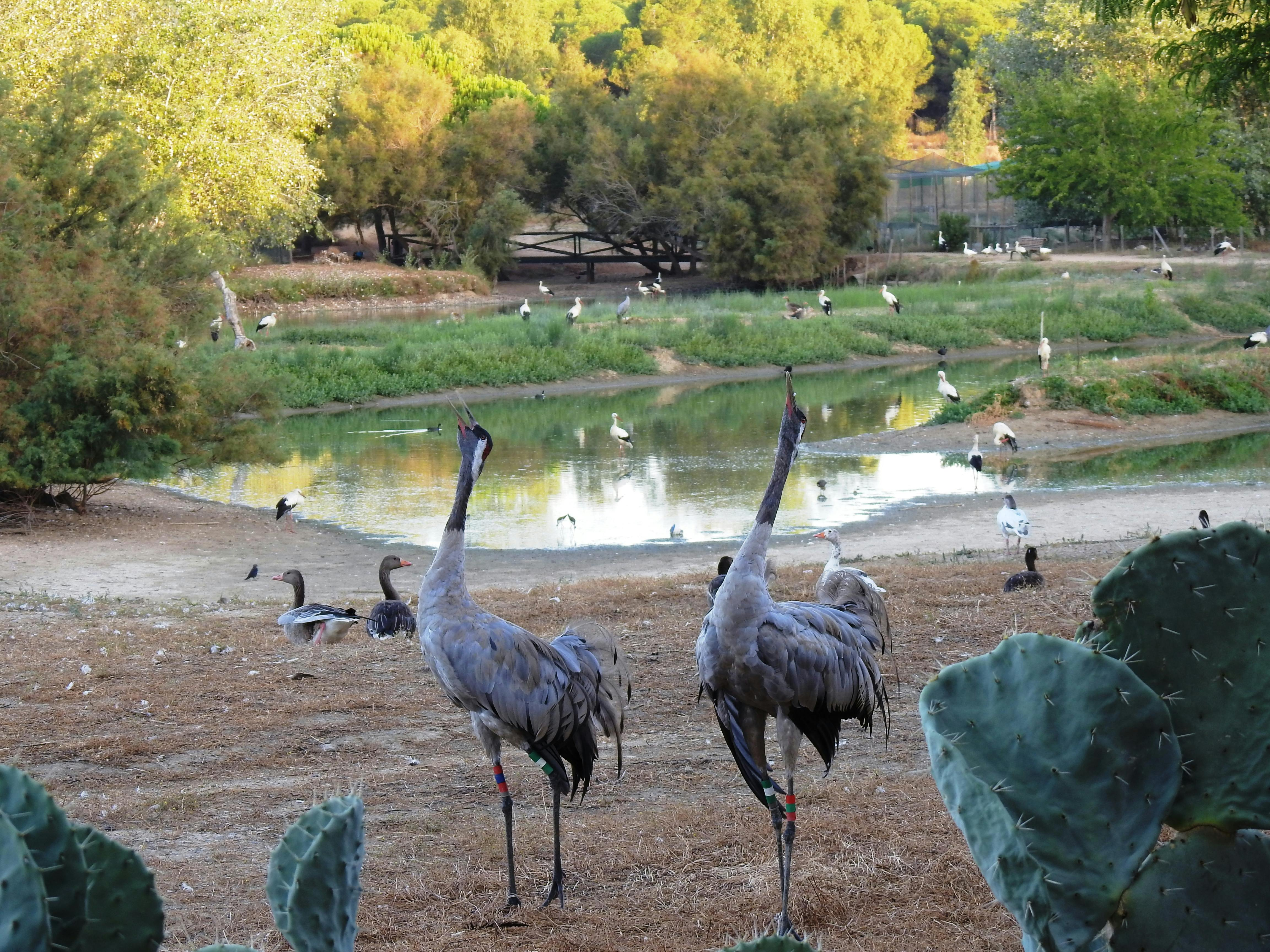 Cañada de los Pájaros Bird Reserve - Photo 1 of 7