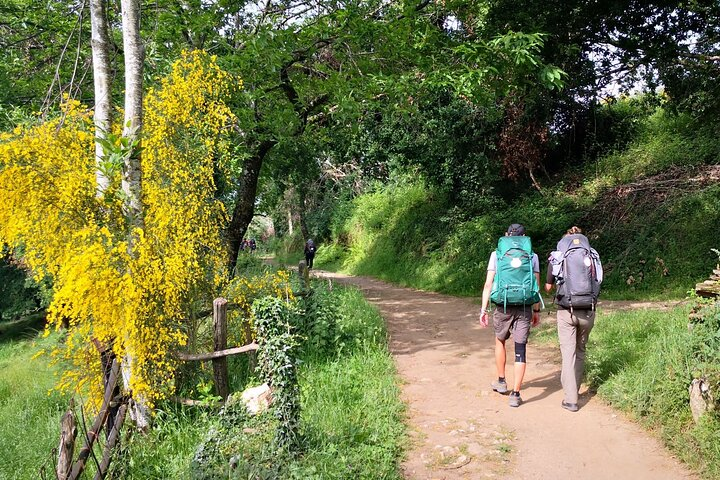 Camino de Santiago French from Sarria to Santiago de Compostela - Photo 1 of 9