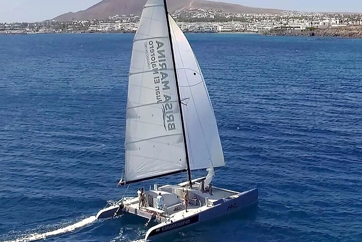 Catamaran F40 Lanzarote sailing - Photo 1 of 7