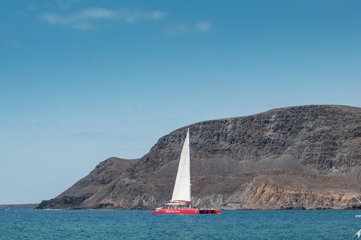 Catamaran Half-Day Cruise from Caleta de Fuste - Photo 1 of 13