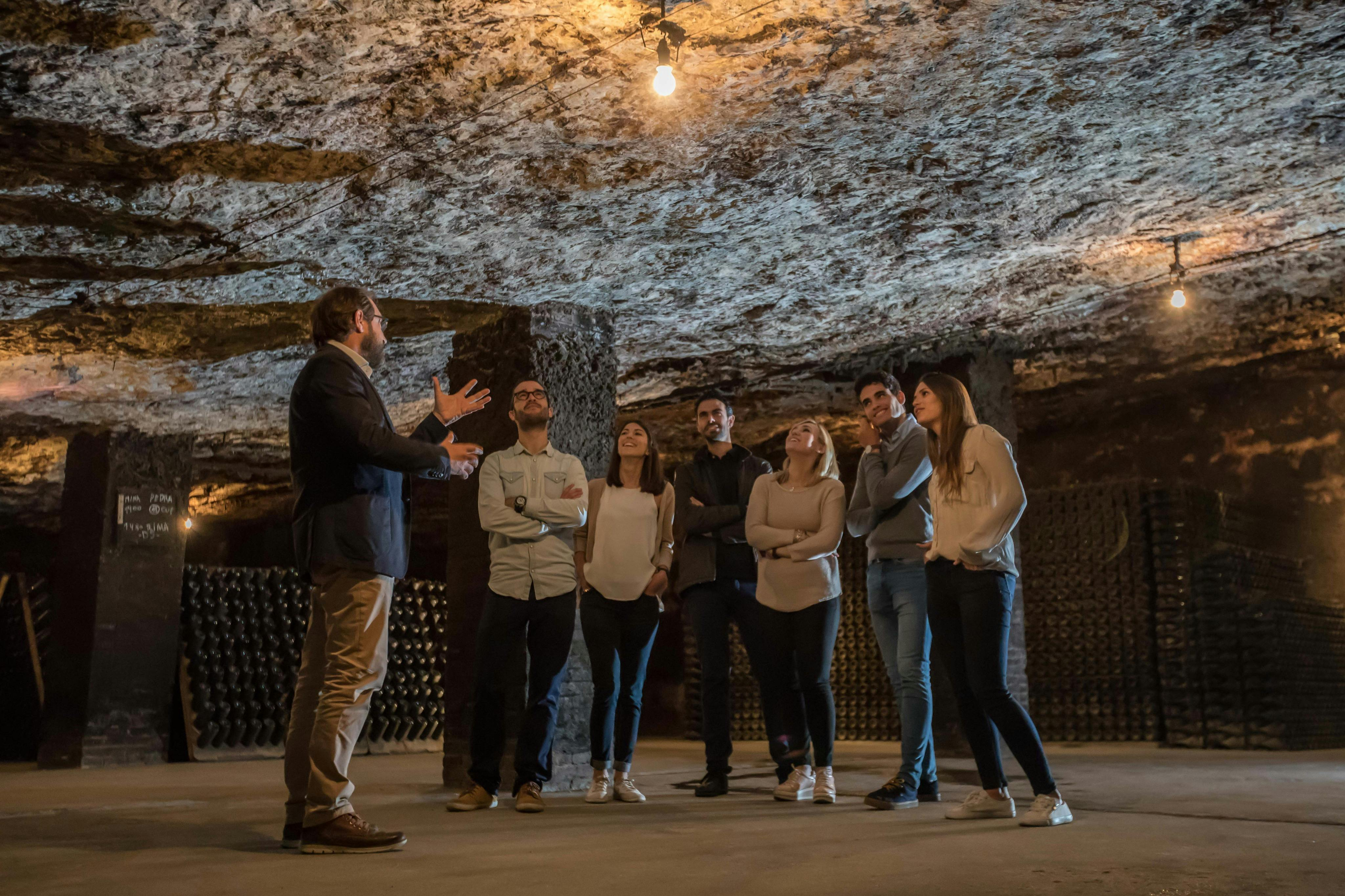 Cavas Freixenet: Guided Winery Tour & Tasting + Aperitif - Photo 1 of 7