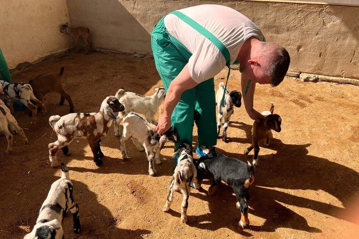 Cheese Making Workshop in Fuerteventura with Breakfast - Photo 1 of 12