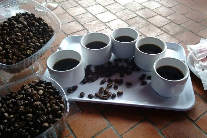 Coffee & Wine: North Route of Gran Canaria Tour - Photo 1 of 13